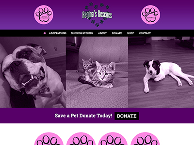 Regina's Rescues